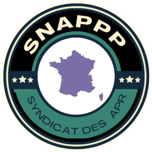 SYNDICAT NATIONAL DES AGENTS DE PROTECTION PHYSIQUE DE PERSONNES